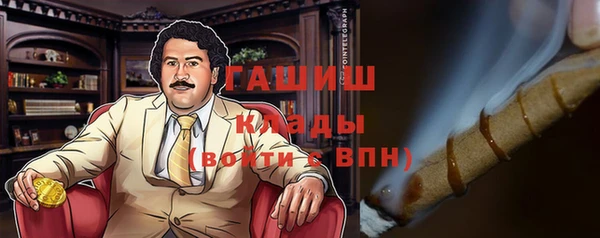 шишки Ельня