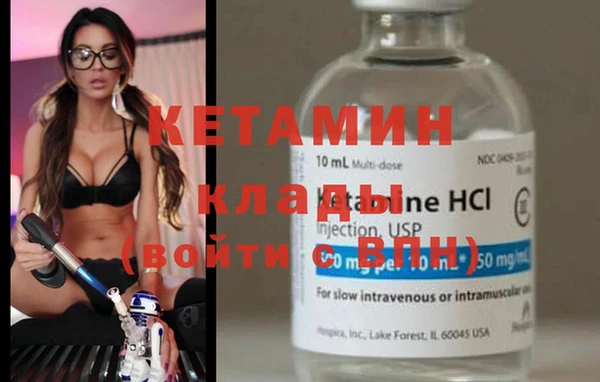 шишки Ельня
