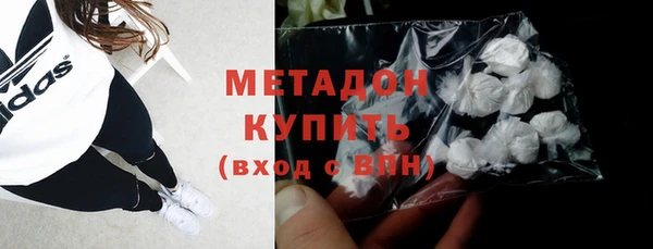 шишки Ельня