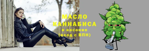 шишки Ельня