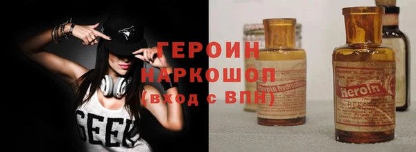 шишки Ельня
