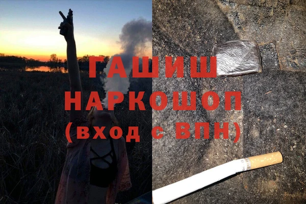 шишки Ельня