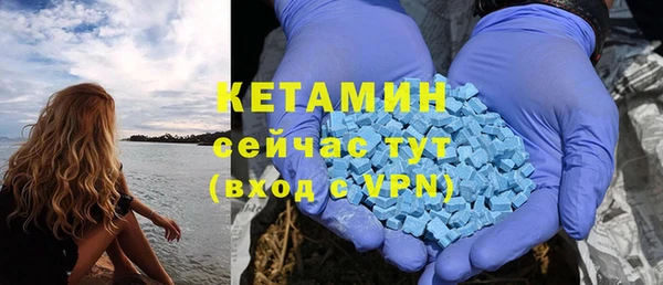 шишки Ельня
