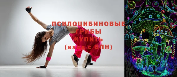 метадон Елизово