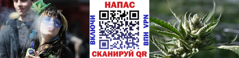 Бошки Шишки план Вологда